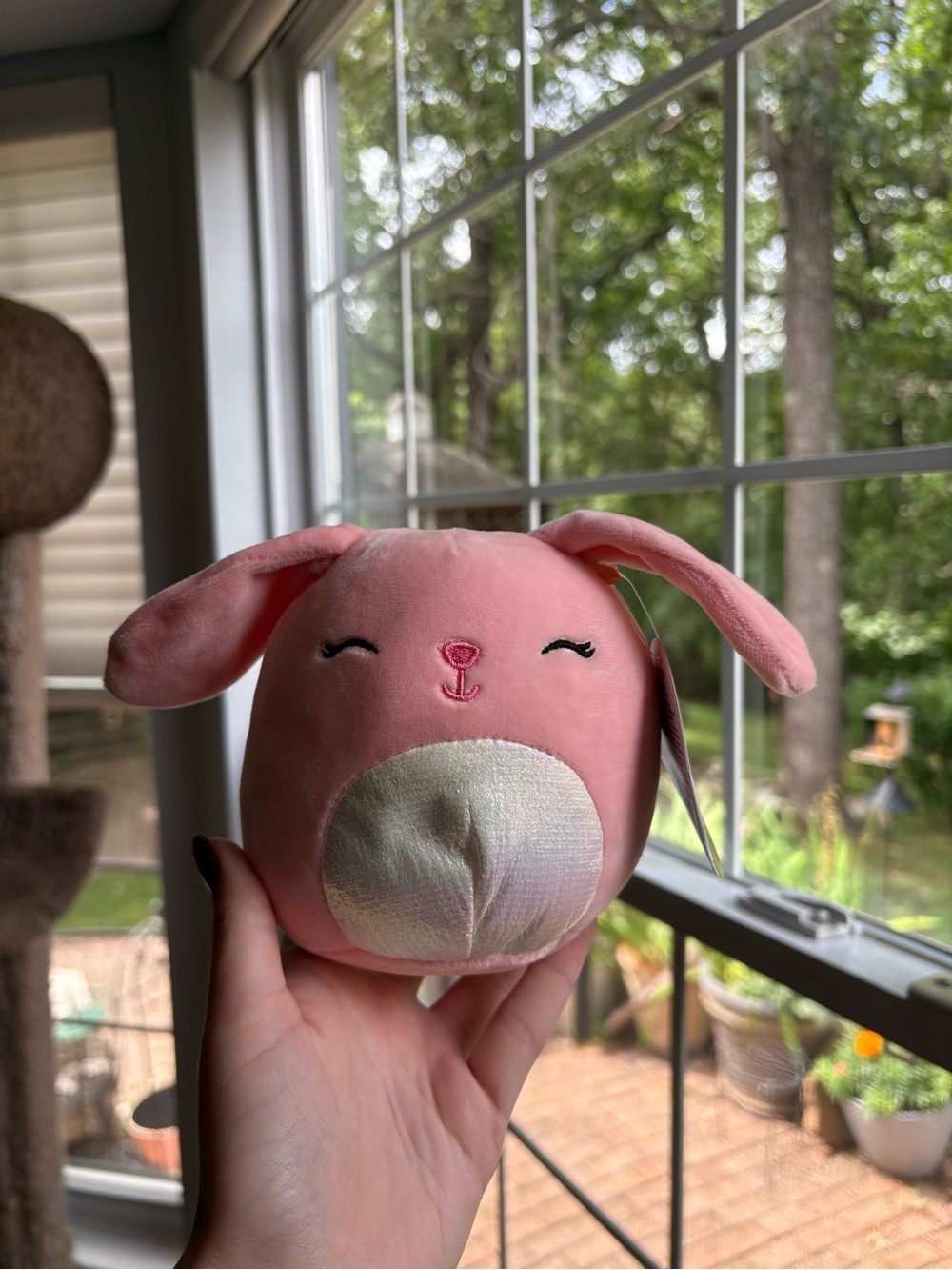 Bop the pink bunny squishmallow 5in nwt easter edition OG